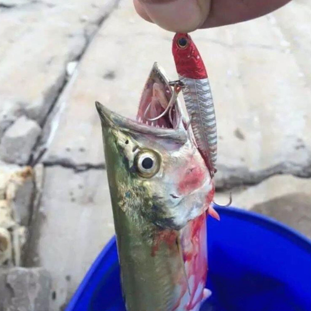 كما 100 قطعة خطاف ثلاثي 4X خطا - مراجعة Fishing Hook Assortment وسعره