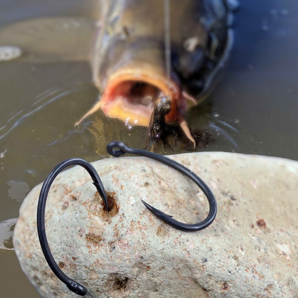 خطافات صيد سمك الشبوط هيريسي 5 - مراجعة Fishing Hook Assortment وسعره
